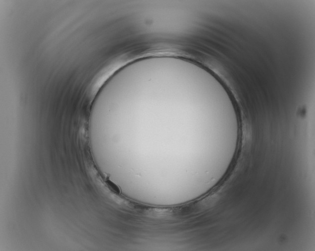 X0000112461481200909071058