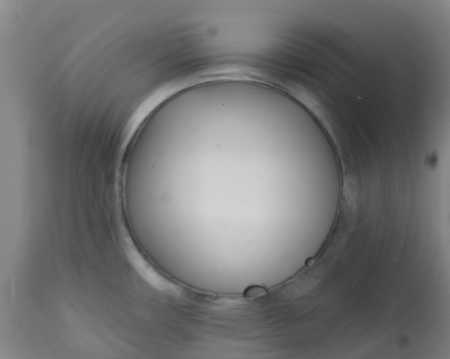 X0000112461482200909071058