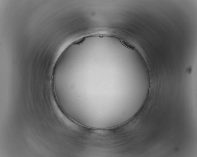 X0000112461483200909071058