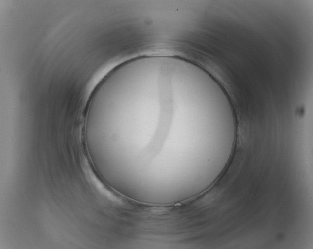 X0000112461484200909071058