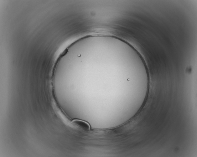 X0000112461485200909071058