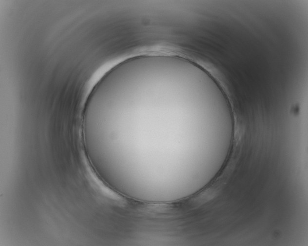 X0000112461486200909071058