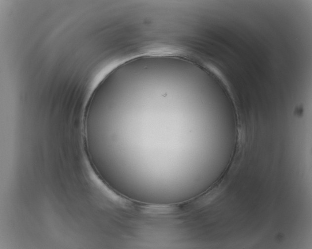 X0000112461487200909071058