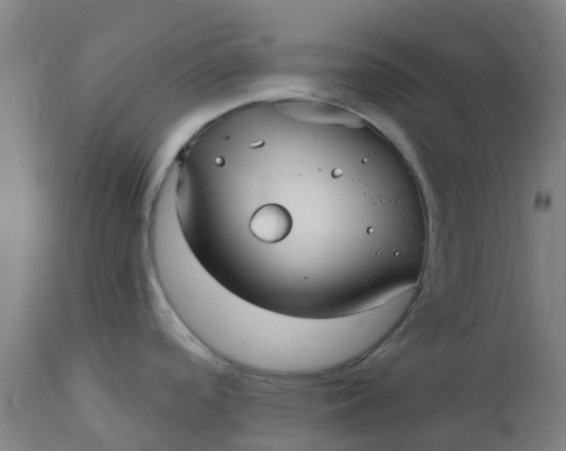 X0000112461488200909071058