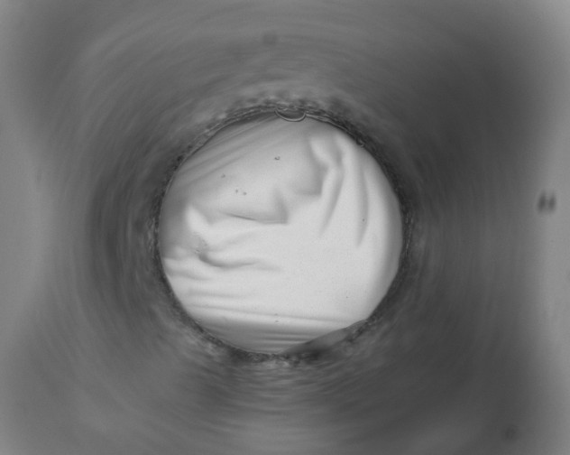 X0000112461489200909071057