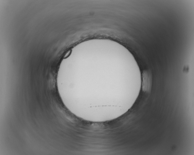 X0000112461491200909071058