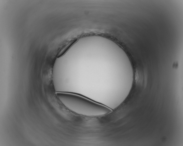 X0000112461492200909071058