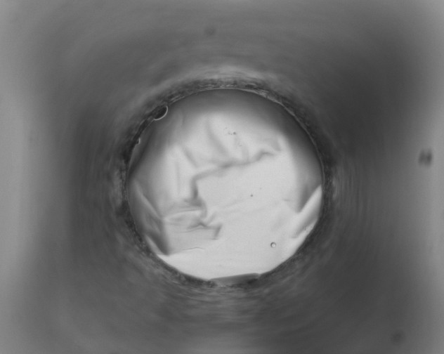 X0000112461493200909071058