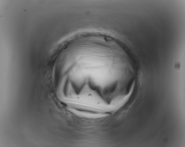 X0000112461494200909071058