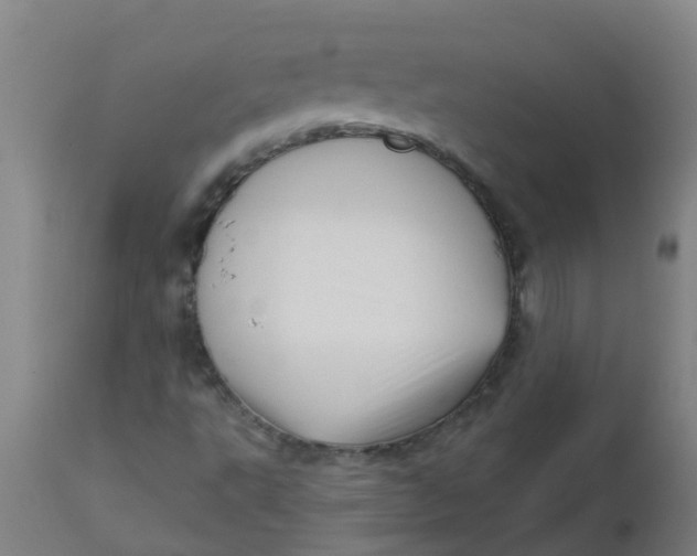 X0000112461495200909071058