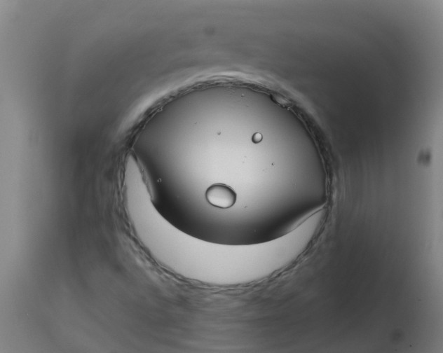 X0000112461496200909071058