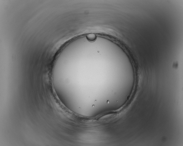 X0000112461497200909071058