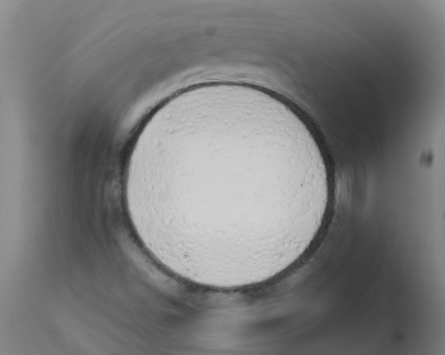 X0000112461498200909071058