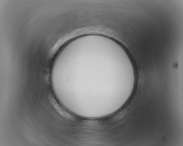 X0000112461499200909071058