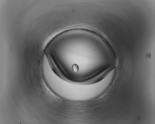 X0000112461500200909071058