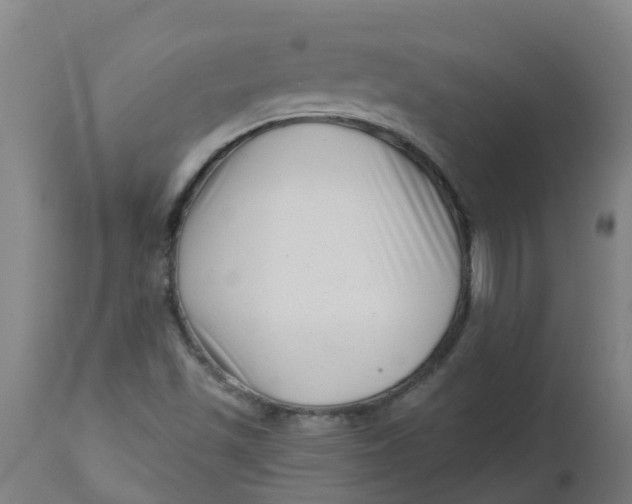 X0000112461501200909071058