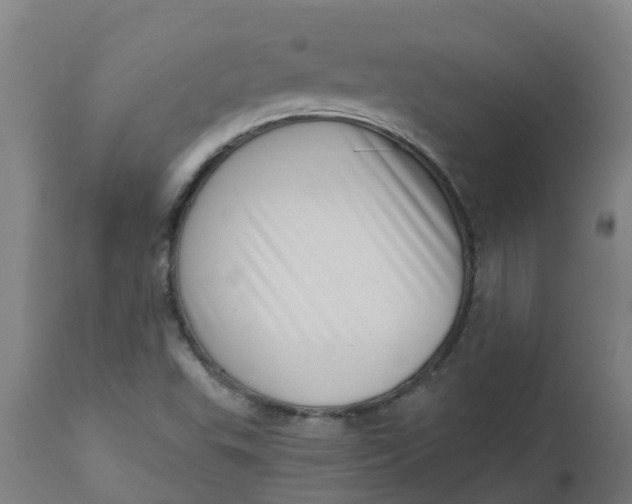 X0000112461503200909071058