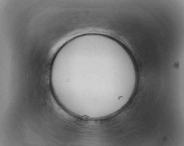 X0000112461504200909071058