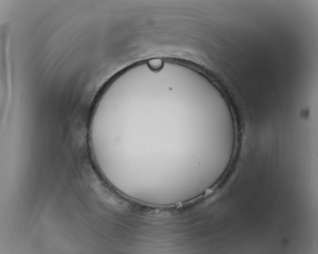 X0000112461505200909071058