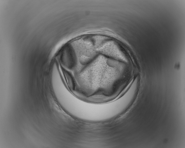 X0000112461506200909071058