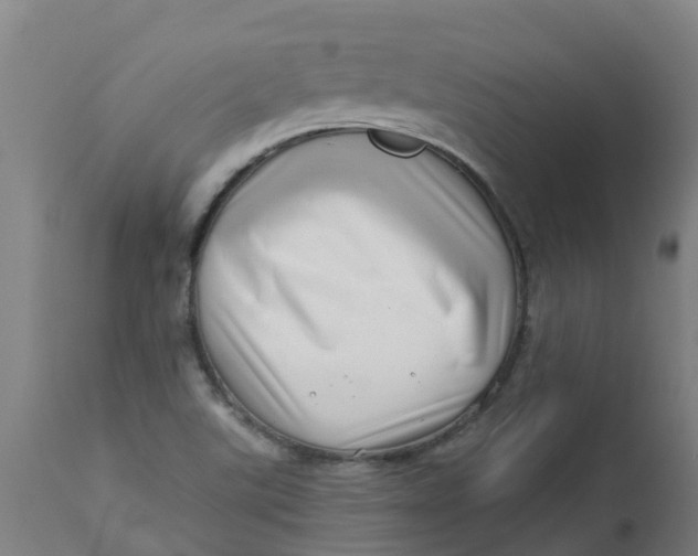 X0000112461507200909071058