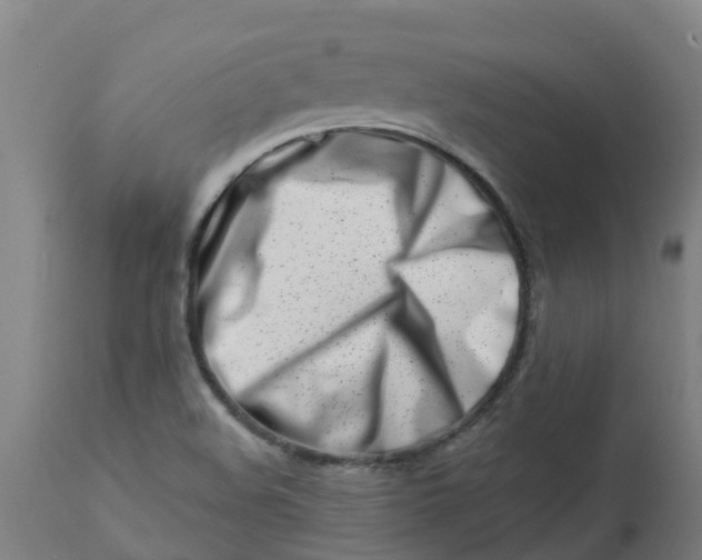 X0000112461508200909071058