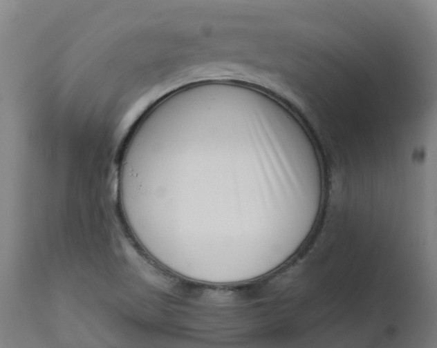 X0000112461509200909071058