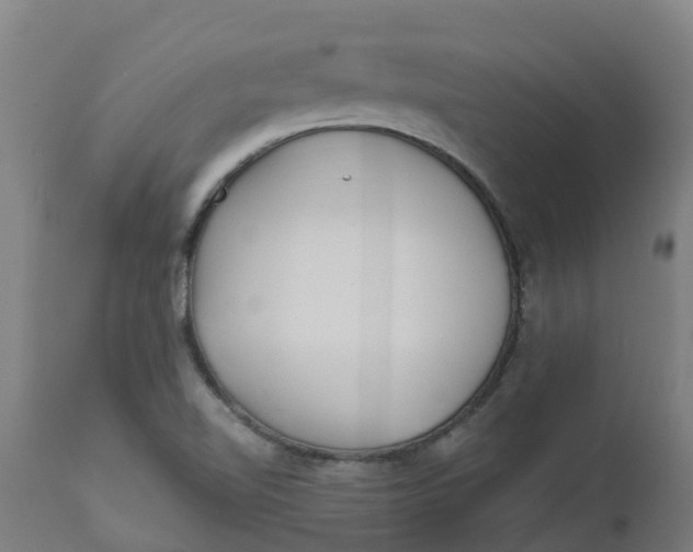 X0000112461510200909071058