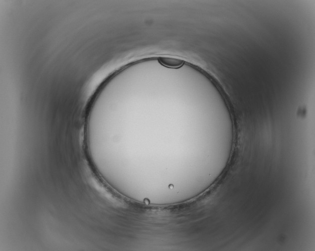 X0000112461511200909071058