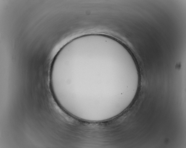 X0000112461512200909071058