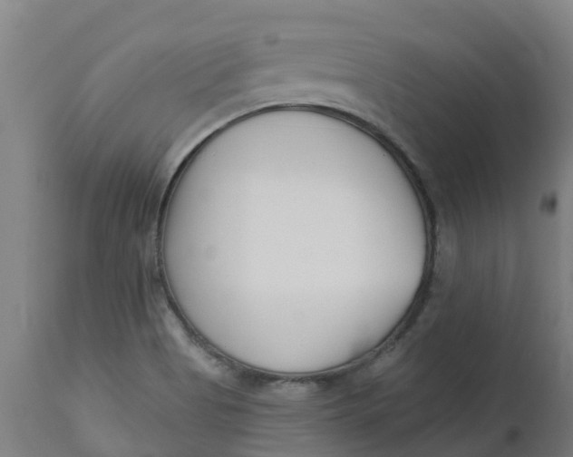 X0000112461513200909071058