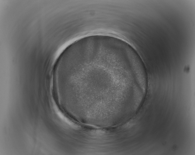 X0000112461515200909071058