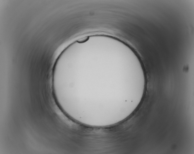 X0000112461516200909071058