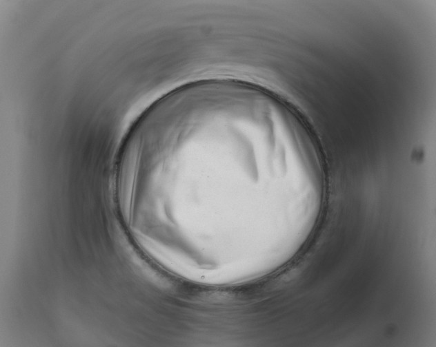 X0000112461517200909071058