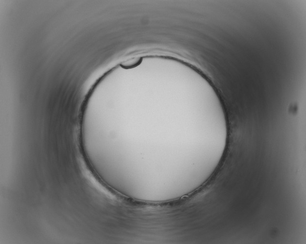 X0000112461518200909071058