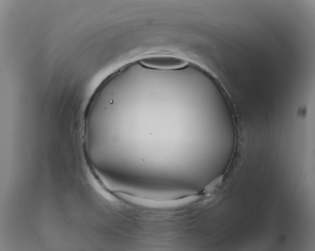 X0000112461519200909071058