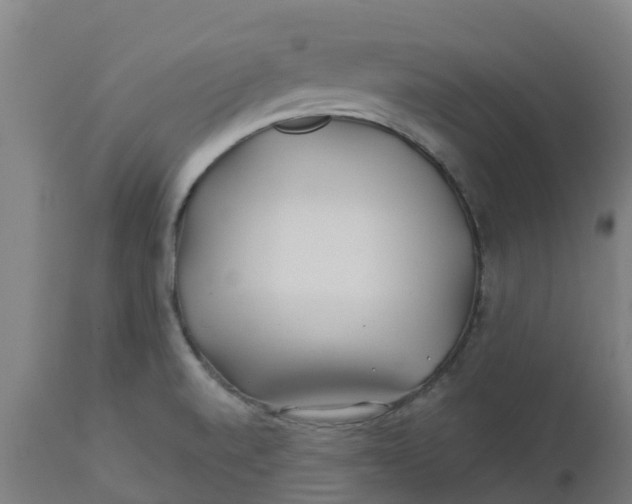 X0000112461520200909071058