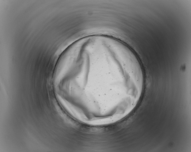 X0000112461521200909071058