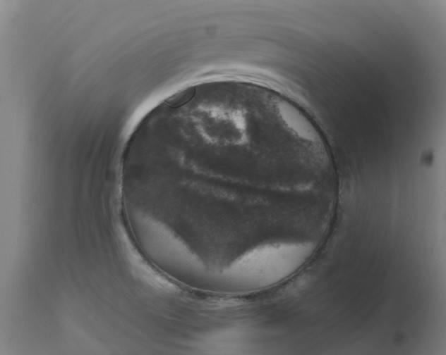 X0000112461522200909071058