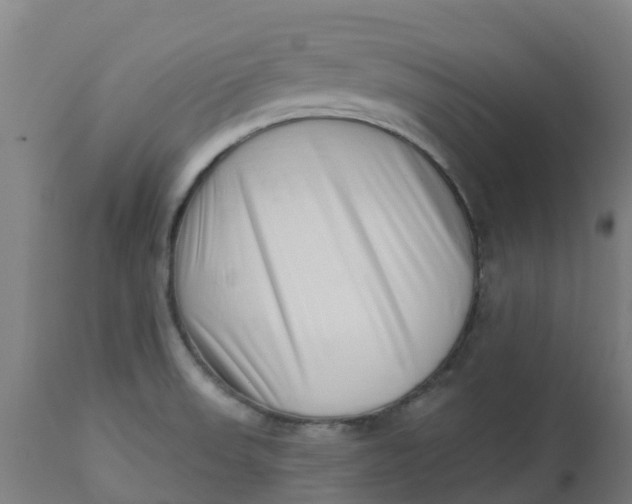 X0000112461523200909071058