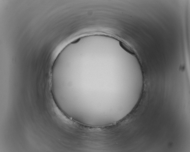 X0000112461524200909071058