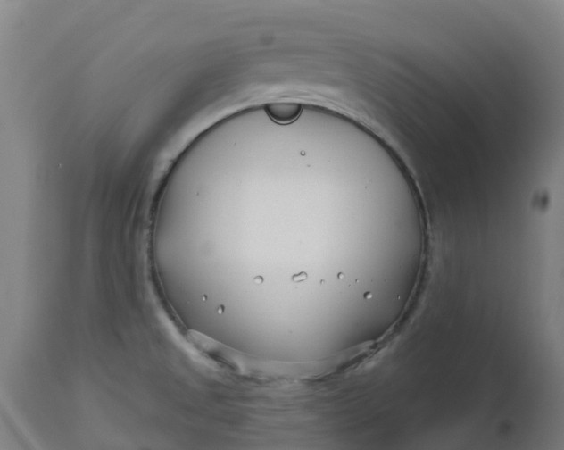 X0000112461525200909071058