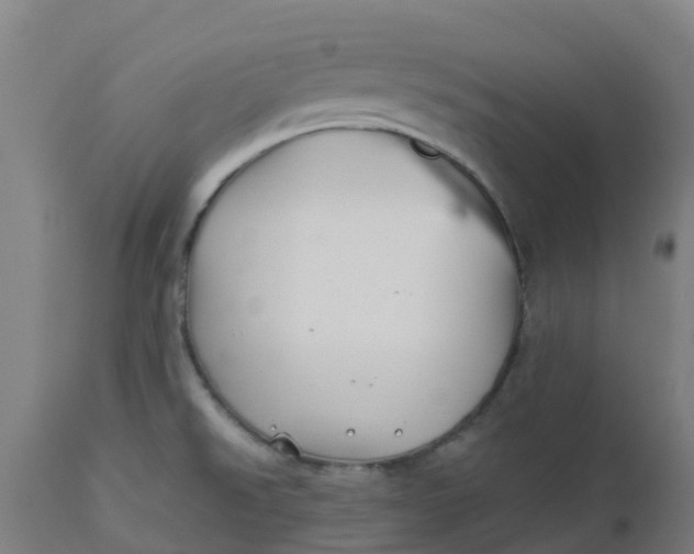 X0000112461526200909071058