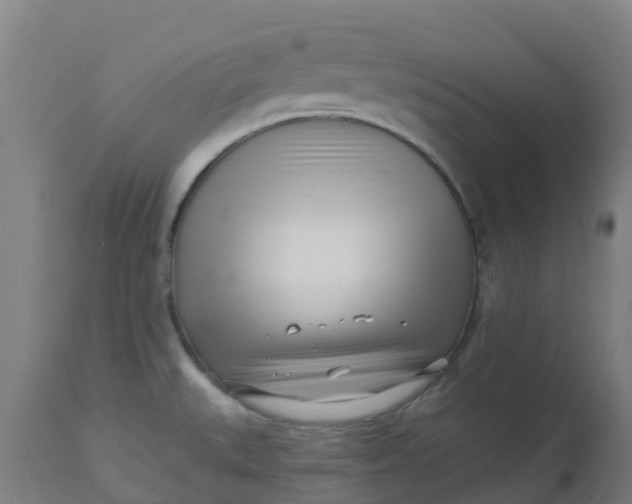 X0000112461527200909071058