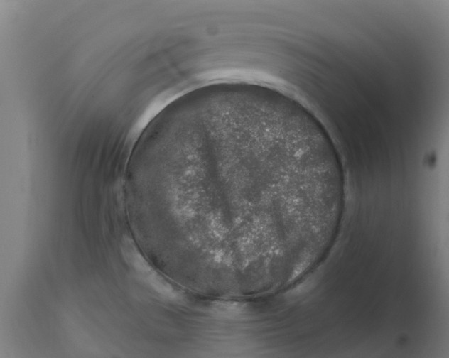 X0000112461529200909071058