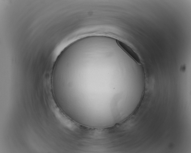 X0000112461530200909071058