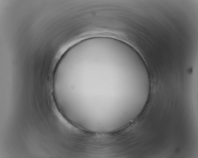 X0000112461531200909071058