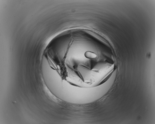 X0000112461532200909071058