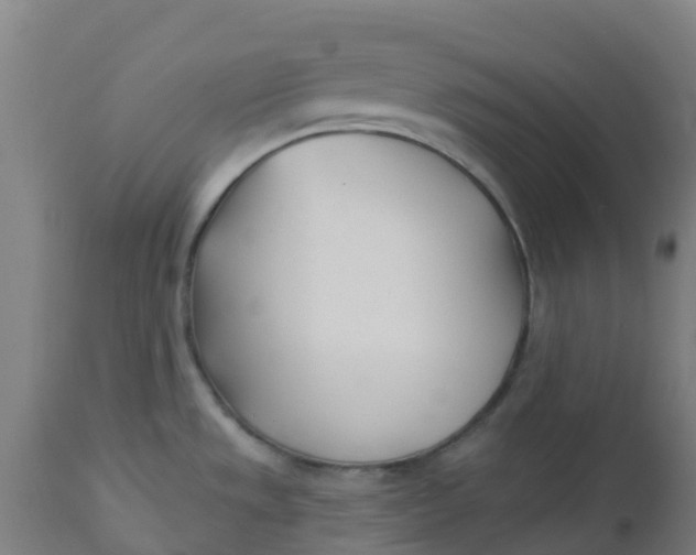 X0000112461533200909071058