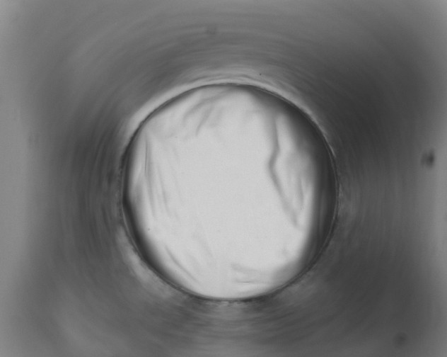 X0000112461534200909071058